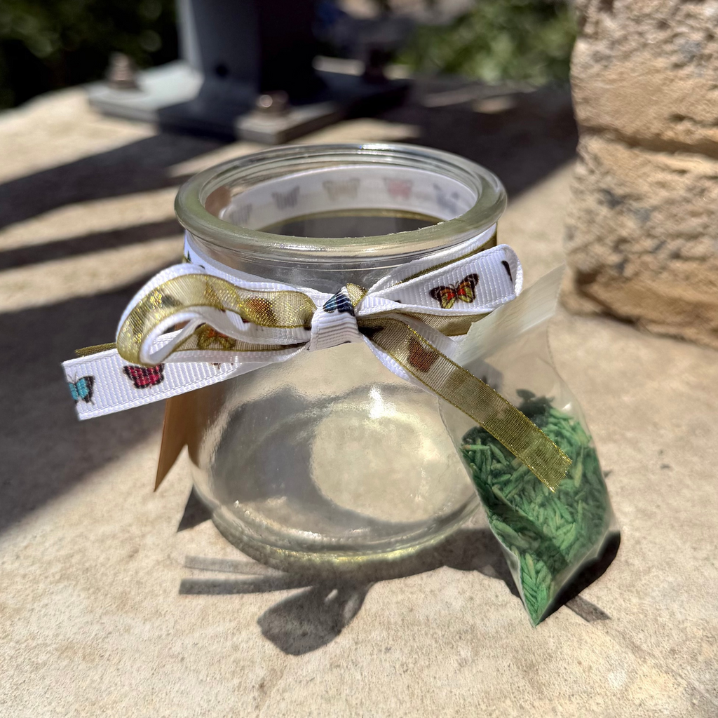 Clear glass jar with grass seeds with a decorative ribbon, and small tag with a written motivational quote on a stone surface