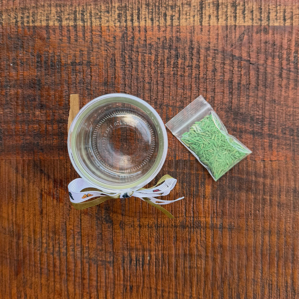Grow Your Own Grass Kit