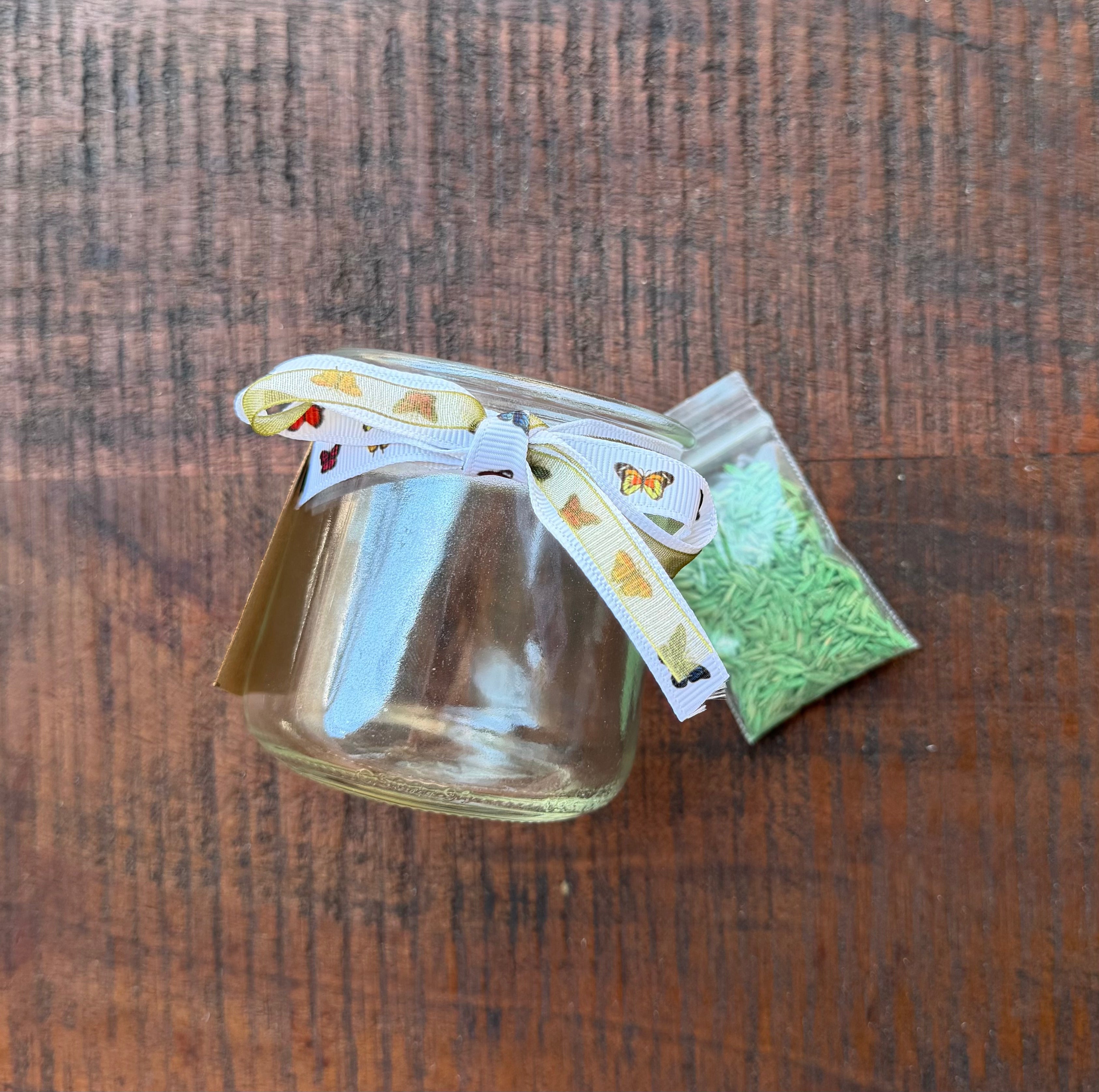 Grow Your Own Grass Kit