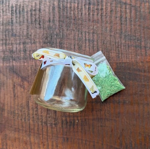 Grow Your Own Grass Kit