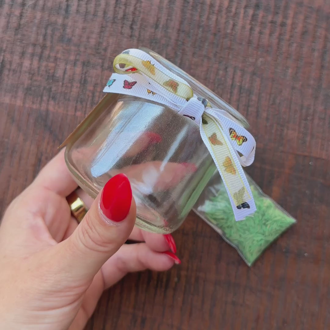 Grow Your Own Grass Kit